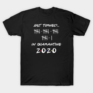 Just Turned 21 In Quarantine Humor Birthday T-Shirt